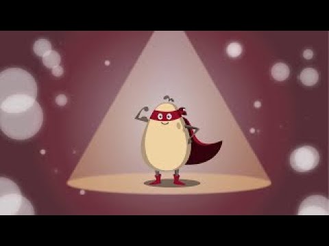 Enzym-Hefezellen Dr. Wolz® – einzigartige Kraftpakete aus der Natur!