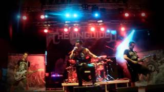 the Unguided | Betrayer of the code (Live at Rockstad Falun in Falun, Sweden 2012)