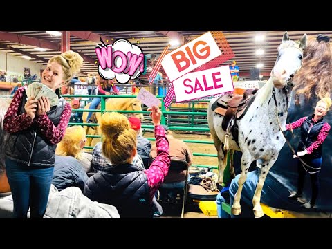 I BID AT THE HORSE AUCTION, BUT DID I WIN?