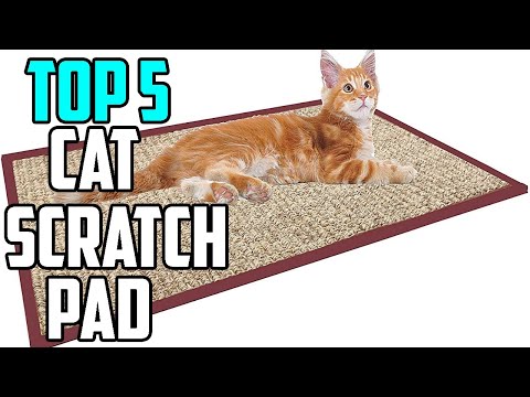 Cat Scratch Pad: Top 5 Best cat scratch pad 2020