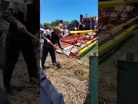 santa anita villaguay entrerios