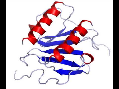 CC chemokine | Wikipedia audio article