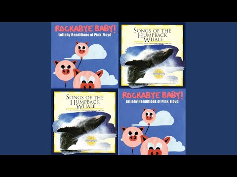 Pink Floyd (Hey You (versão Rockabye baby!)) + Dr. Roger Payne (Solo Whale)