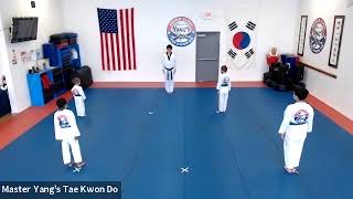Live Class - Green Belt - 6.1.20 @ 3:45pm