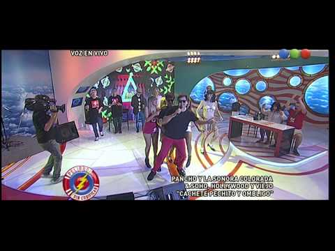 Tu cana me suena: "Cachete, pechito y ombligo"- Peligro Sin Codificar