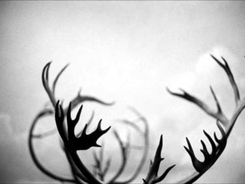 My Problem Child - Deer (excerpt)