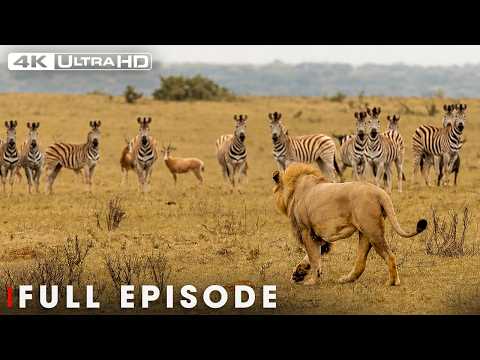 Primal Instinct
