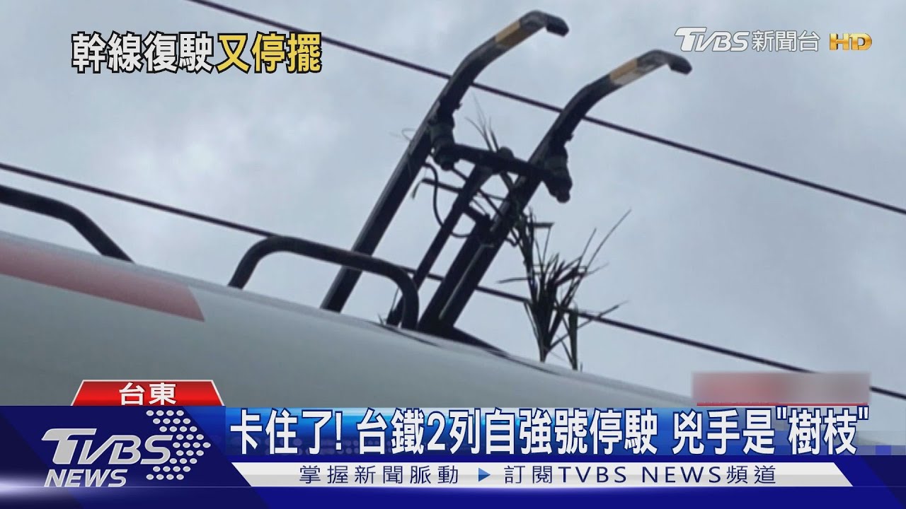 兇手都是「它」台鐵2列次自強號停駛 玉里車站接駁人潮爆