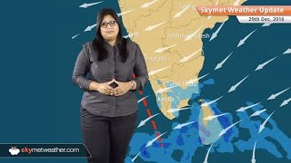 Weather Forecast for Dec 29: Snow in Kashmir, Fog in Delhi, Punjab, UP, Bihar