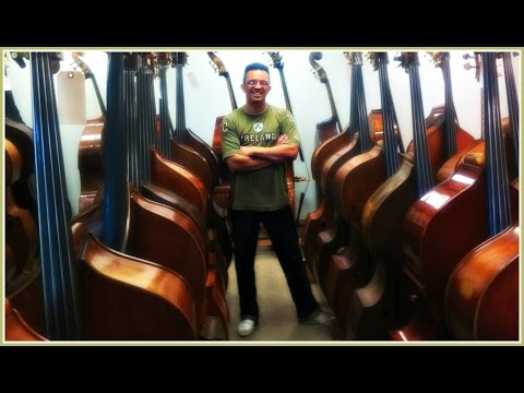 Maximo Rodriguez Bajo Solo