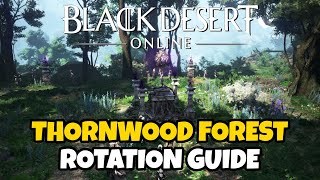 Thornwood Forest Rotation Guide | Black Desert Online