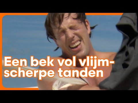 Ongeziene beelden haaienbeet Freek Vonk | BNNVARA | NPO Start