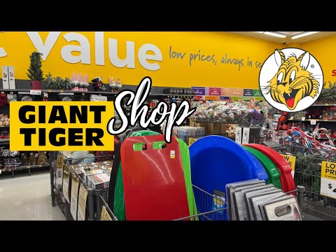 SHOP NEW Giant Tiger FINDS