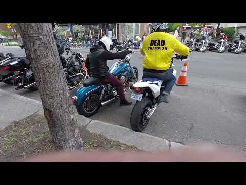 Roll the Bones!! un autre belle journee a Ville Emard