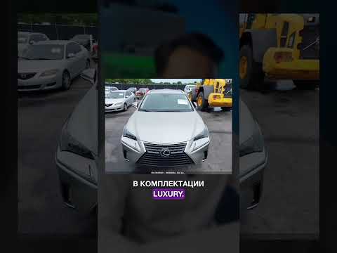 Lexus NX 2020