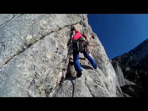 Piatra Craiului #23 August