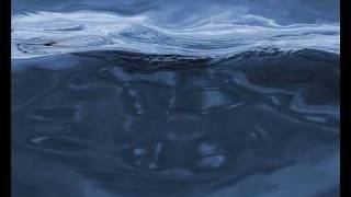 Coral Reef - Swan Dive (Original Mix)