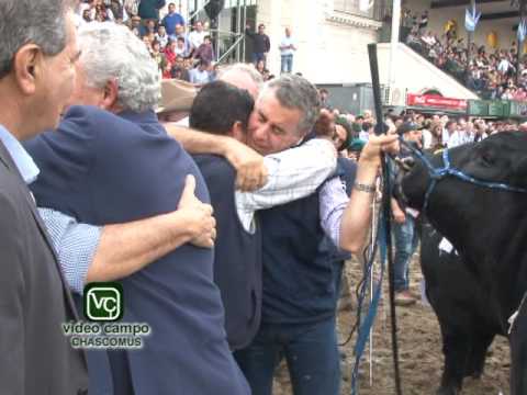 Palermo 2017 Jura Angus nota a Francisco Gutiérrez