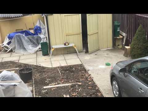 I am so happy that this Shyam Cat at least got some food that was leftover from the other cats