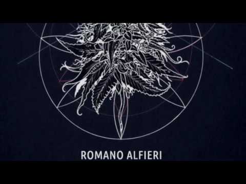 Romano Alfieri - Disco Crashes (Original Mix)