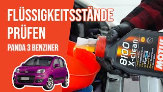 Youtube thumbnail of video "Die Flüssigkeitsstände prüfen Panda 3 1.2 8V 📏"
