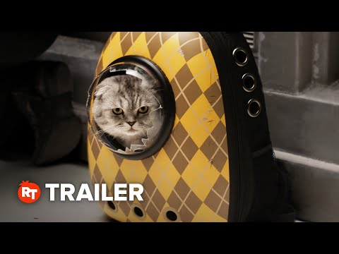 Argyle Rotten Tomatoes