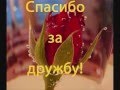 Самому любимому другу на свете.wmv 