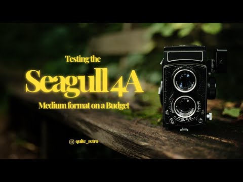Medium format on a Budget / Testing the Seagull 4A - A silent Review / V-Log
