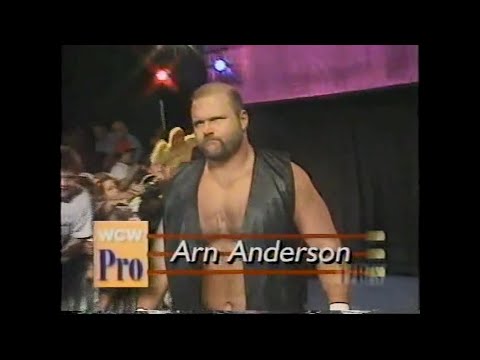 Arn Anderson vs Tim Horner   Pro Aug 26th, 1995