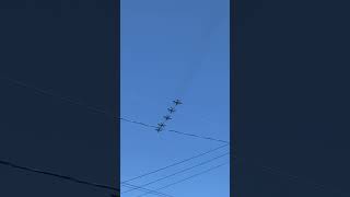 #松島基地  #ブルーインパルス