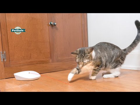 Laser Light Tail Cat Toy - PetSafe®