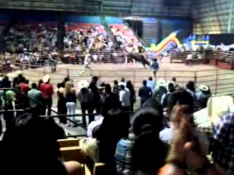 baile jaripeo lee civic center