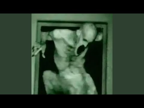 DNT WRRY ABT ME IM GHOUL (feat. TARXAN)