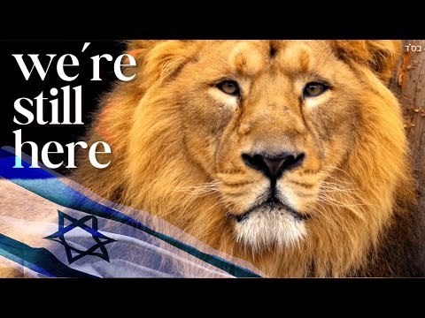 Am Yisrael Chai — And Always Will Be 🇮🇱 | Inspirational Jewish Song of Strength & Unity, עם ישראל חי