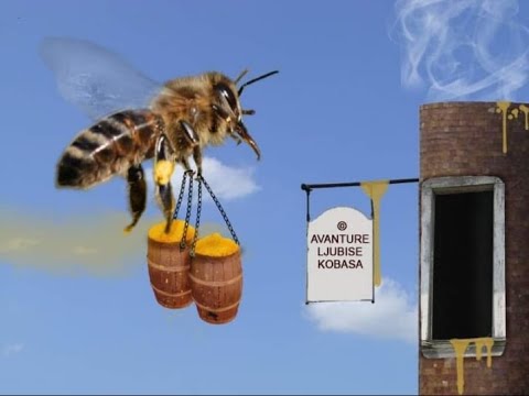 Ljubisa Kobas-Doktor za pcele🐝🐝🐝