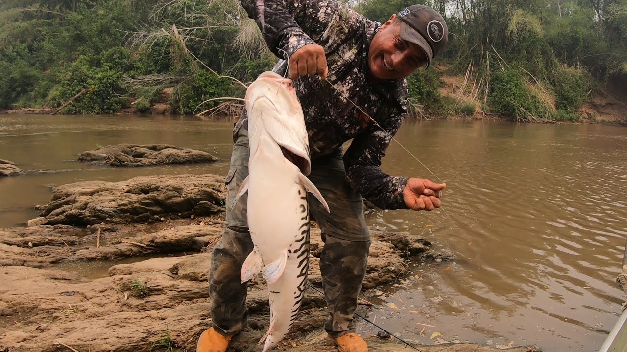 VALEU A PENA INSISTIR NESTA PESCARIA...QUASE ENCERRANDO A PESCARIA  NO RIO MIRANDA, OLHA SÓ!!!