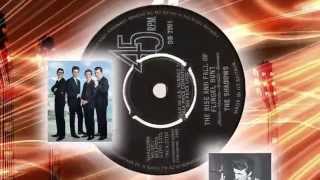 The Shadows -  The Rise And Fall Of Flingel Bunt