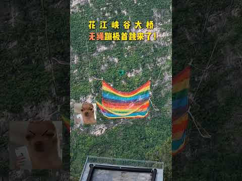 花江峡谷大桥无绳蹦极沙袋测试，以后如果让你跳你，敢吗 #chinatravel #guizhou