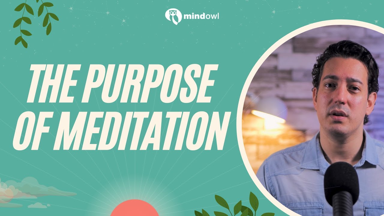 What is the Purpose of Meditation? | What meditation is REALLY for | Mindowl.org