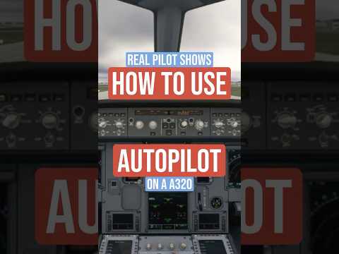 How to use Autopilot