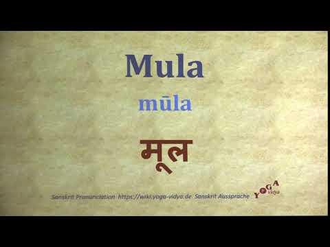 Mula Pronunciation Sanskrit मूल mūla