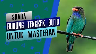 Download lagu Suara Tembakan Tengkek Buto Speed Rapat Dengan Jeda Cocok Untuk Masteran mp3 Download lagu Suara Tembakan Tengkek Buto Speed Rapat Dengan Jeda Cocok Untuk Masteran mp3