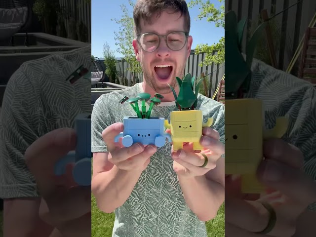 Vídeo relacionado con LEGO Botanicals Roses - Faux Flowers Building Set - Desk Decoration or Floral Home Decor - Nature Toy for 8+ Year Old Girls & Teens - Birthday Gift Idea - 40460