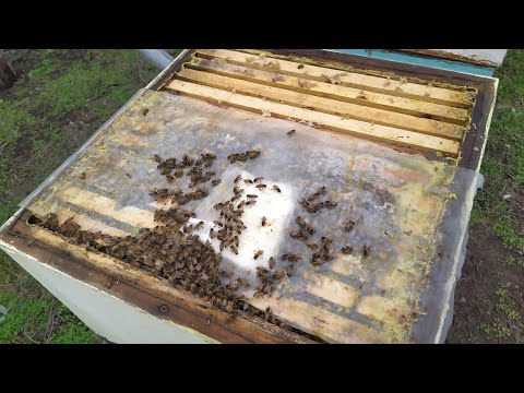 Сегодня +10 завтра -10