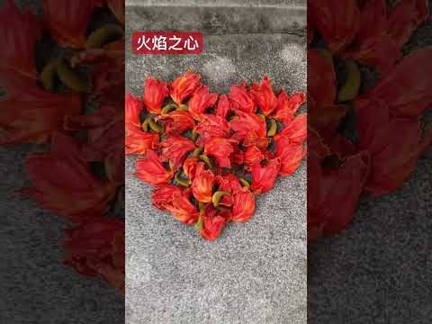 火焰之心
