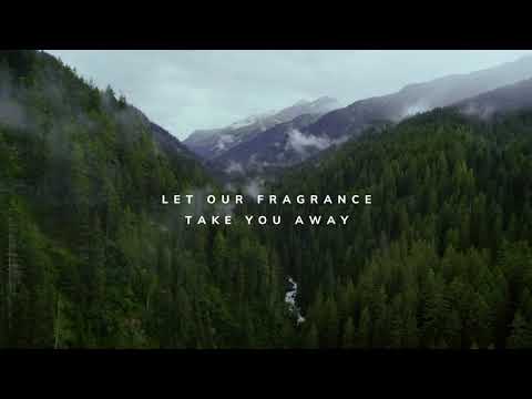 Phoenicia Essence