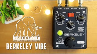 Video thumbnail for Horrothia FX Berkeley Vibe by Pedal of the Day