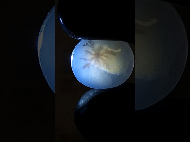 حجر عقيق شجري طبيعي بشهادة مختبر