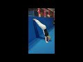 Virtual Lesson 1 Handstands Recreation 5 8yrs