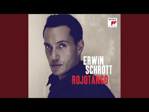 Los pájaros perdidos